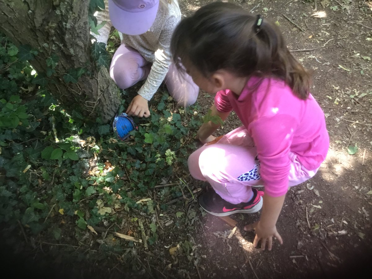 Freeman CP School tweet media