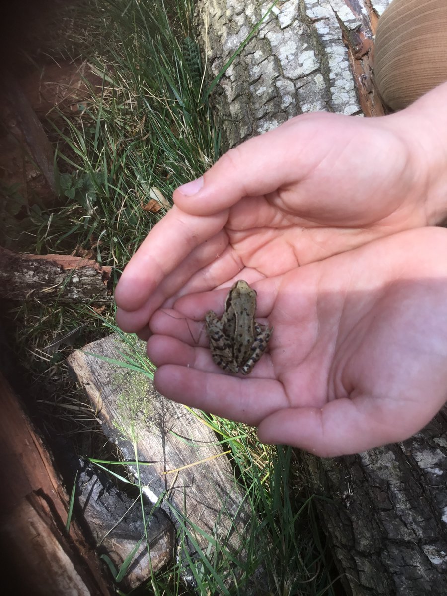 Freeman CP School tweet media