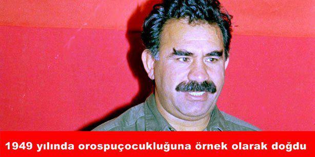Doğu Perinçek: "Abdullah Öcalan, vatandaşın kararına göre Meclis’te de olabilir."