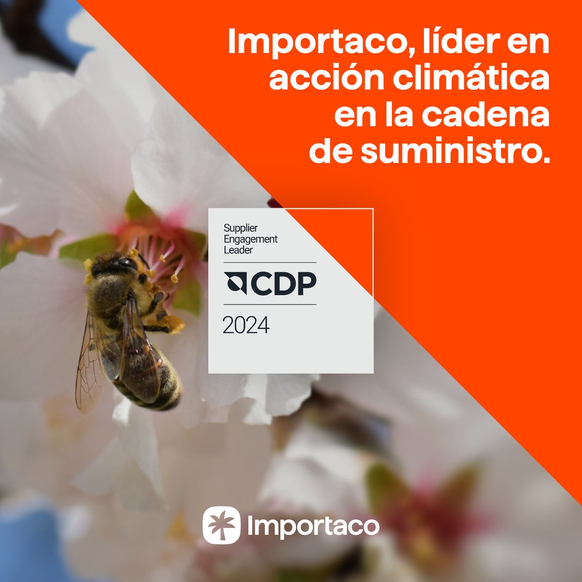 🌍 #Importaco, reconocida por <a href="/CDP/">CDP</a> como líder global en gestión climática en la #CadenaDeValor. Formamos parte del Supplier Engagement Leaderboard 2024. 🔗 Más info: importaco.com/importaco-incl… #Sostenibilidad #CDP #CambioClimático
