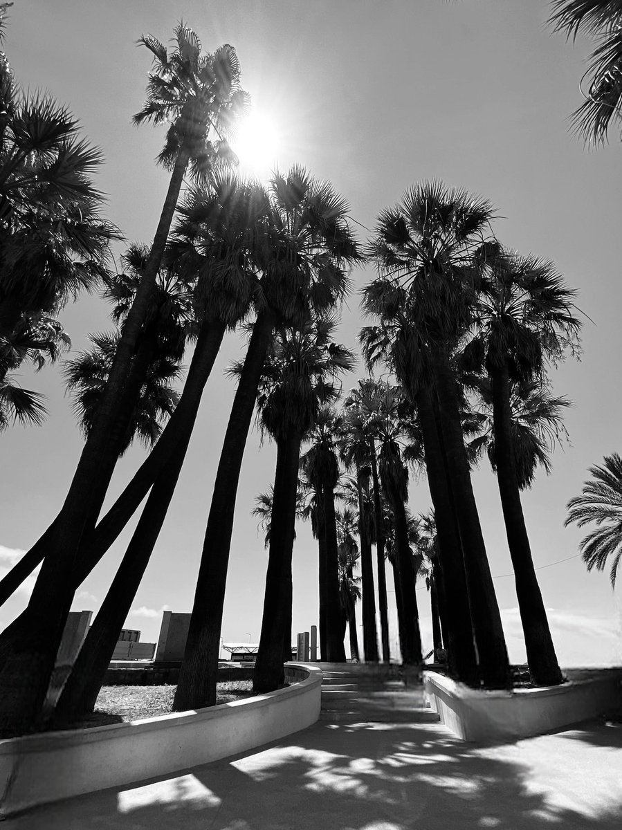 ⁦<a href="/villecannes/">Cannes</a>⁩ lendemain festif