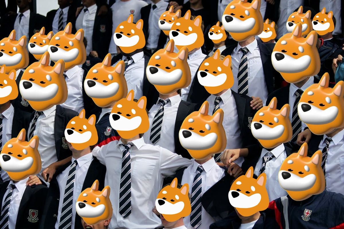 Radoslaw200's tweet image. $BONK

1M Holders in 2025