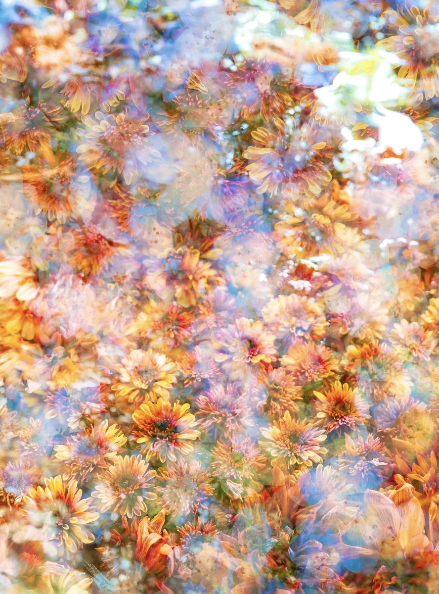 shikisai_imari's tweet image. 『硝子の夏』✩.*˚
風鈴 水の音 硝子越しにみえたような 幻想の世界 ✩.*˚
今日も暑いなかお疲れ様です😌 素敵な夢に繋がりますように🍀🎨🦄🌌🫧
#抽象 #色彩 #花が好きな人と繋がりたい #美術ネットワーク #芸術の輪 #みんなで楽しむTwitter展覧会 #art