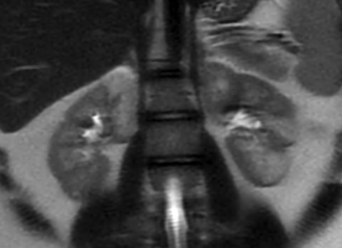 Fernando Ide Yamauchi tweet media