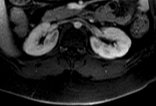 Fernando Ide Yamauchi tweet media