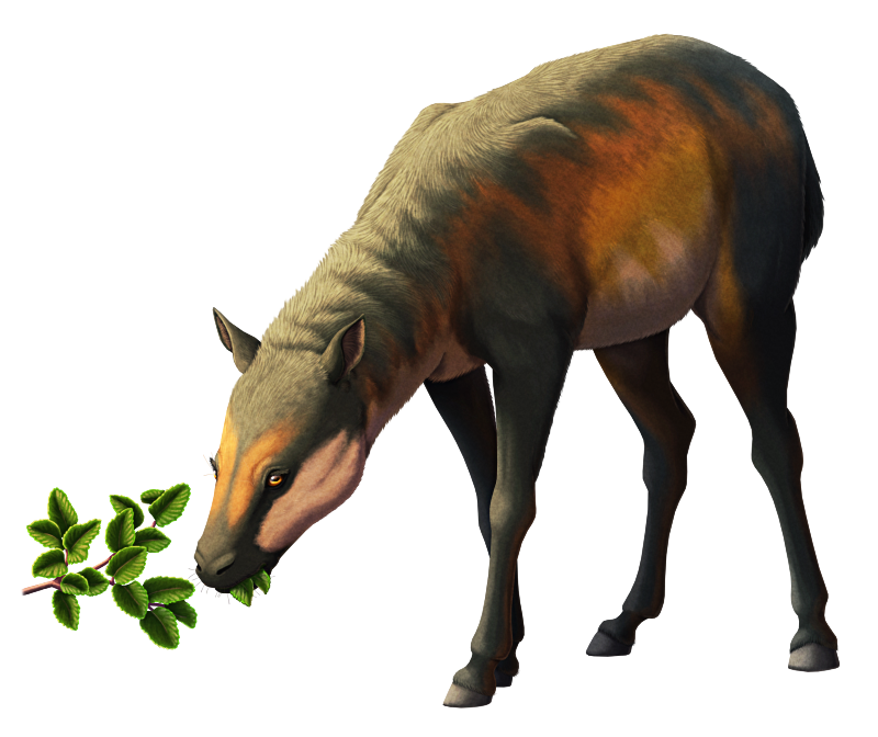 cmkosemen's tweet image. If you want incredibly-well-done reconstructions of obscure prehistoric animals, you go to @nixillustration - please follow his work on nixillustration.com and on this platform!