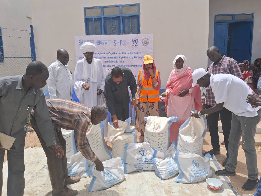 FAOSudan's tweet image. Thanks to the generous support of @UNCERF & @SwissMFA, @FAO and its partners distributed over 66,500 kg of sorghum, millet and okra seeds across Mershing locality, South Darfur.
A critical step toward restoring livelihoods, resilience, and dignity.
#AgricultureCan
#WithSudan