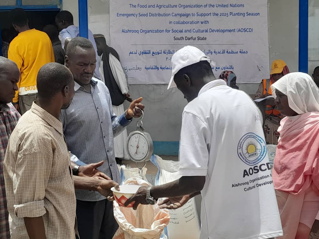 FAOSudan's tweet image. Thanks to the generous support of @UNCERF & @SwissMFA, @FAO and its partners distributed over 66,500 kg of sorghum, millet and okra seeds across Mershing locality, South Darfur.
A critical step toward restoring livelihoods, resilience, and dignity.
#AgricultureCan
#WithSudan