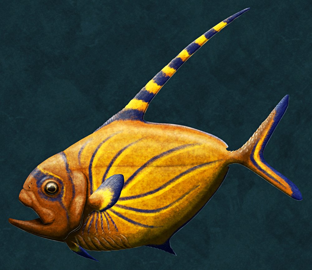 cmkosemen's tweet image. If you want incredibly-well-done reconstructions of obscure prehistoric animals, you go to @nixillustration - please follow his work on nixillustration.com and on this platform!