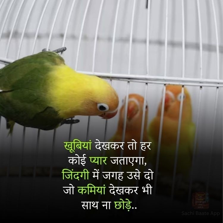 Scahhi bate <a href="/BefittingFacts/">Facts</a> <a href="/factpostnews/">FactPost</a>