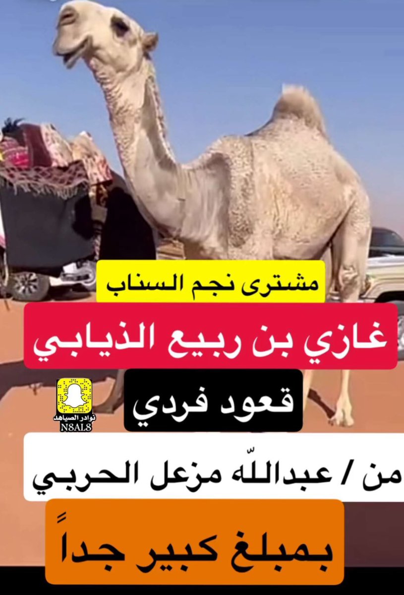 نايف بن ناجي | النايفـــ (@naif_0580003535) on Twitter photo مشترا غازي الذيابي <a href="/gazzi_24/">غازي الذيابي</a>
من / عبدالله مزعل الحربي
قعود فردي 🔥🔥.
"دائما قبيلة حرب اهل نوماس"
<a href="/q2a121/">عبدالهادي بن مزعل الحويمضي 🥇</a> مشترا غازي الذيابي <a href="/gazzi_24/">غازي الذيابي</a>
من / عبدالله مزعل الحربي
قعود فردي 🔥🔥.
"دائما قبيلة حرب اهل نوماس"
<a href="/q2a121/">عبدالهادي بن مزعل الحويمضي 🥇</a>