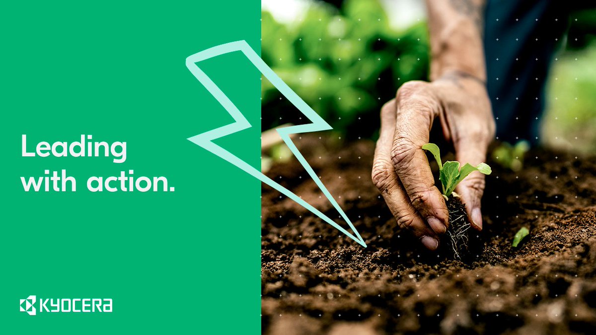 A partnership with France Judo 🤝​​

IT education for disadvantaged individuals 💻​​

Endangered wildlife conservation 🐢​

Planting over 24,000 trees 🌱​

These are some of the initiatives that our sales companies are supporting. Read more here 📚⬇️ 
kyoceradocumentsolutions.eu/en/about-us/su…