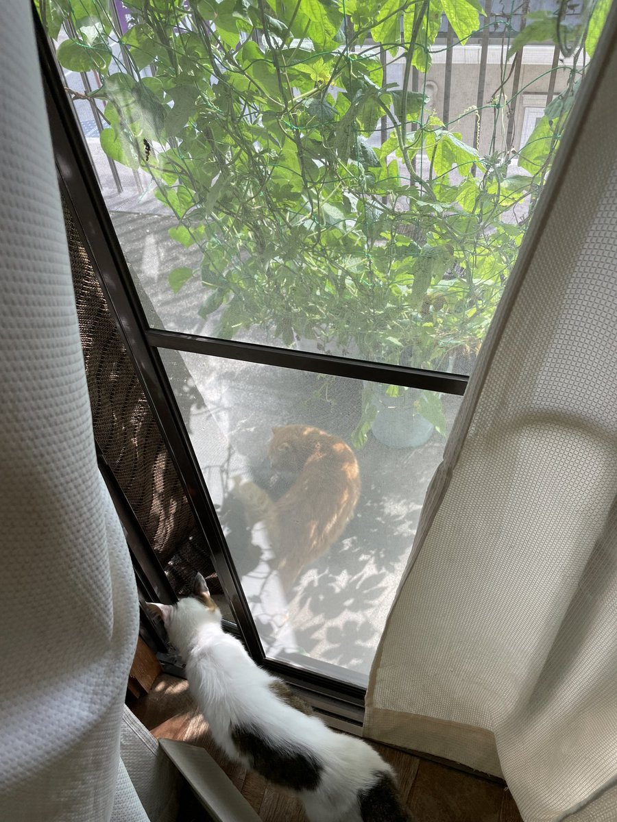 mari_0319's tweet image. 