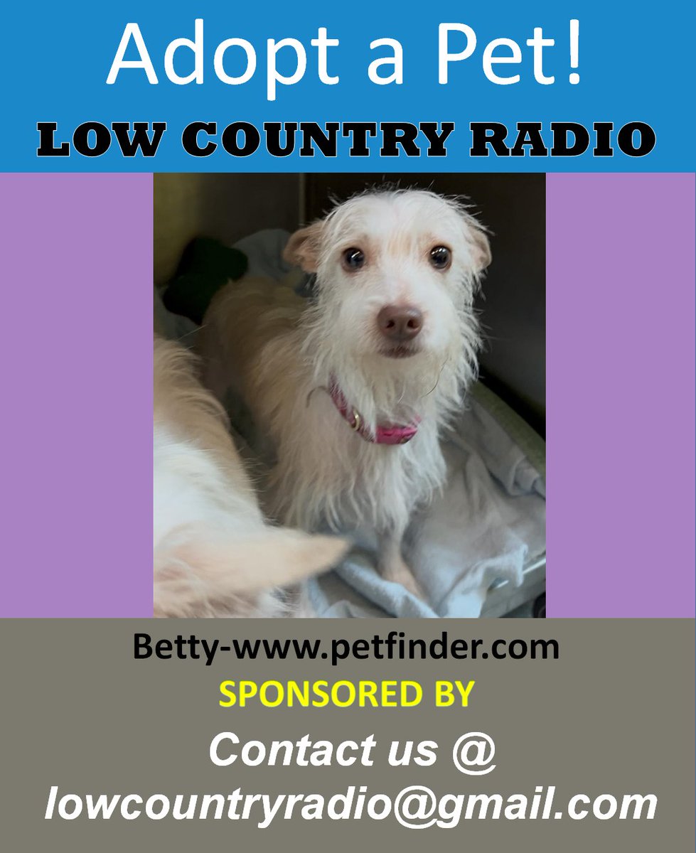 LowCountryRadio (@lowcountryradio) on Twitter photo 