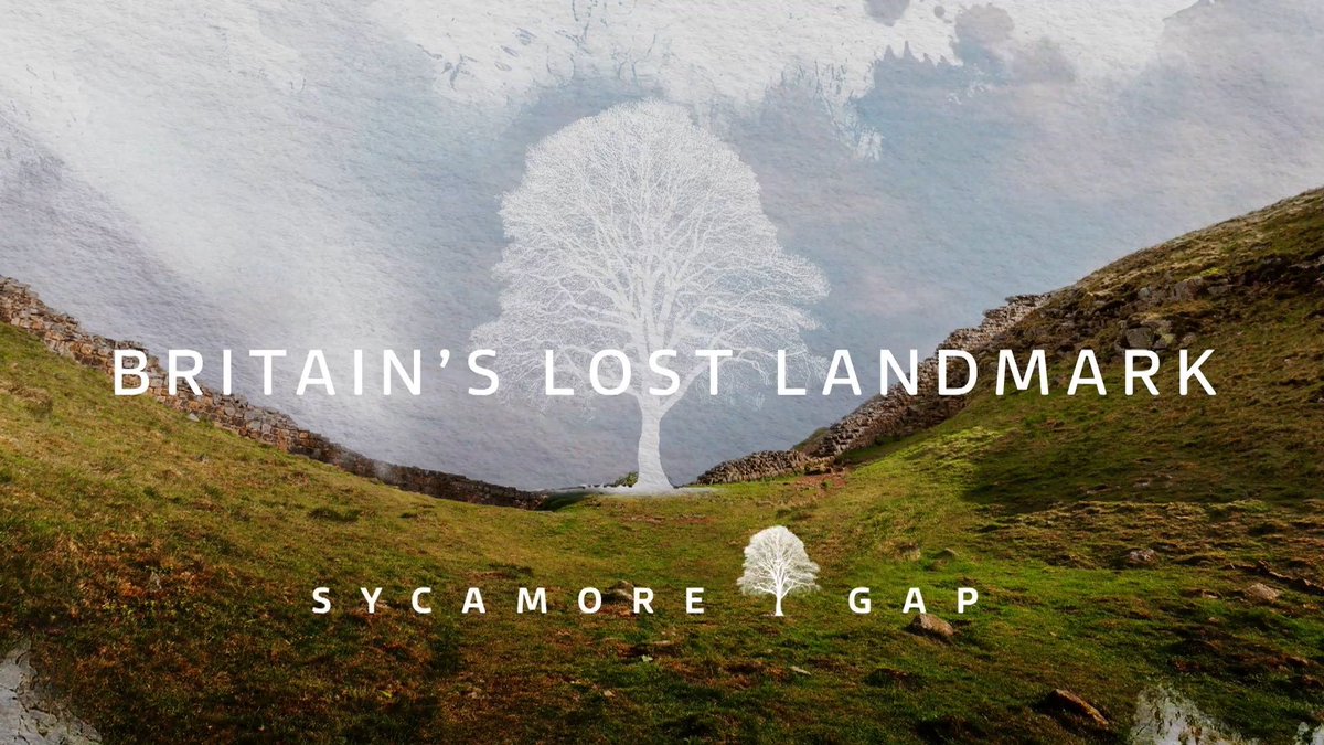 JoshSteadITV's tweet image. Our documentary, Britain’s Lost Landmark, airs on @ITV tonight at 2245 and on @ITVX
@tombarton investigates why two men cut down the Sycamore Gap tree in the dead of night, and how police brought them to justice
🌳