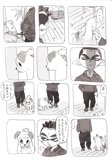 アニマル日和もよろしく 