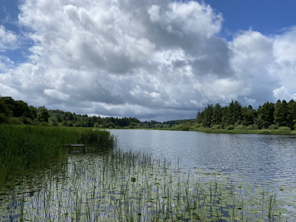 Out for a nice walk in between the showers in Bailieborough