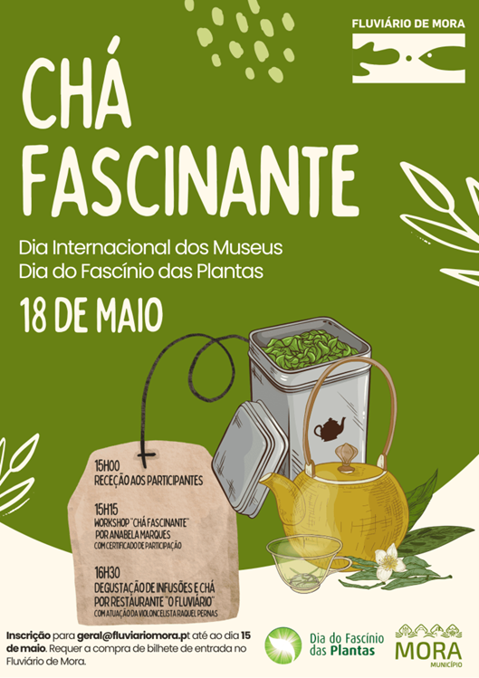 PlantDay18May's tweet image. Academia, botanical gardens, parks, schools, companies, museums in Italy contributed to FoPD 2024. Don’t miss out the 7 International Fascination of Plants Day 2024 success stories: bit.ly/4lvTAa2
and get ready for FoPD2026
#PlantDay #PlantScience #SDG #HorizonEU