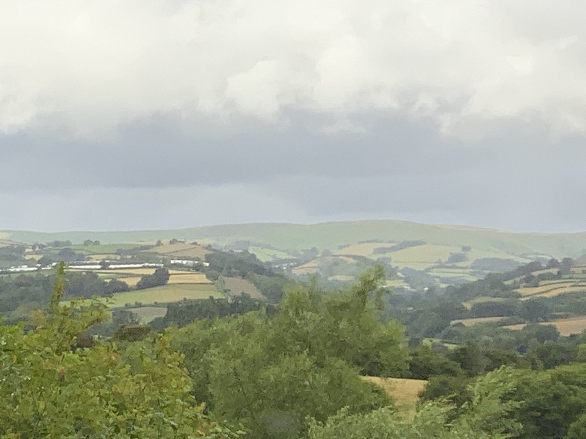 Good morning to the remaining nice people on TwitterX. A cloudy start to the day. 16C high, 12C low, humidity 87%, pressure 1011.5 mb, wind 30K , partly cloudy with 14% chance of rain p.m. Picture taken a couple of hours ago. Cool &amp; windy.