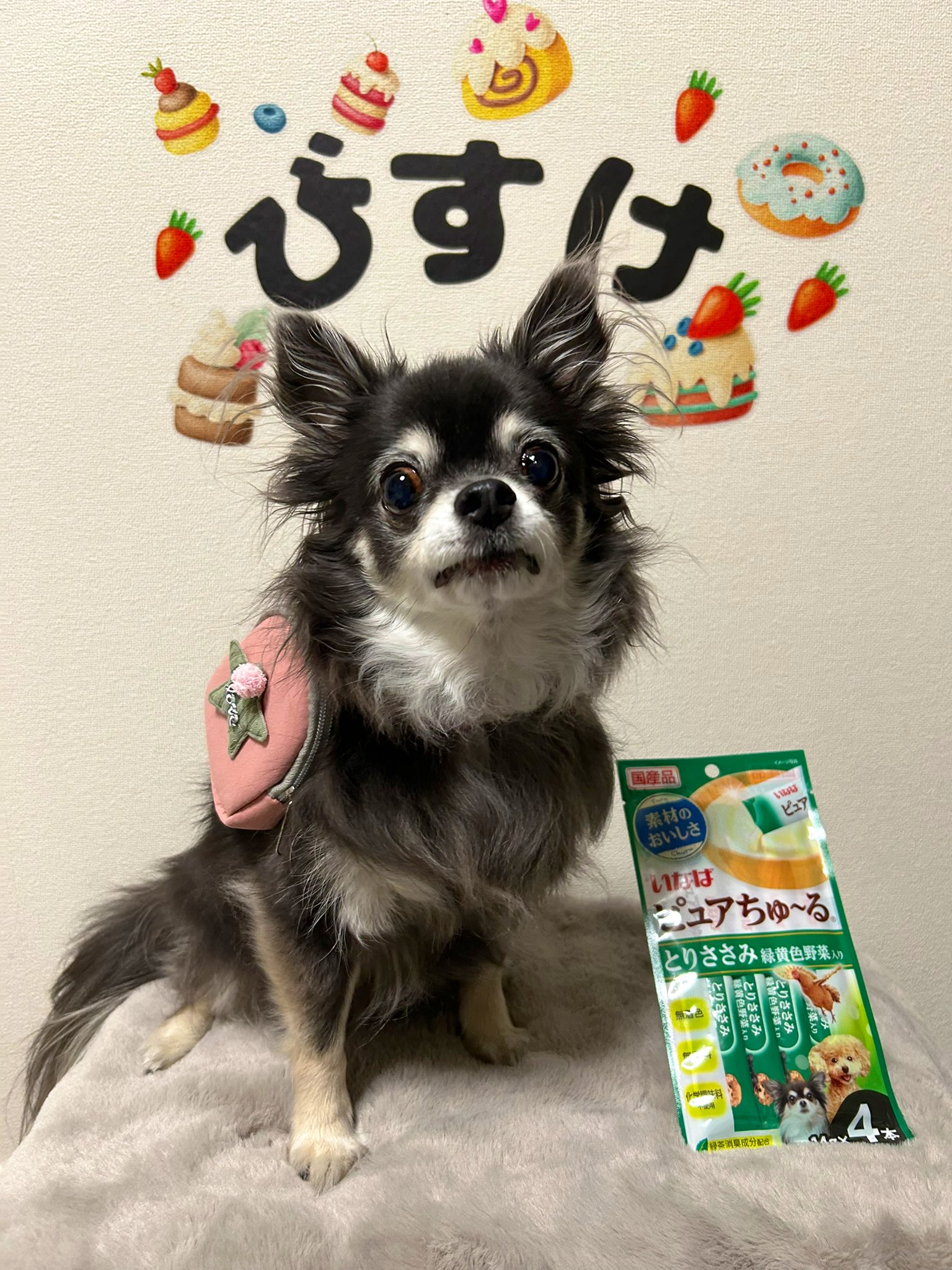 【ひなたまま】犬ちゅーる 81suPzQqB3L._UF350,350_QL50_.jpg