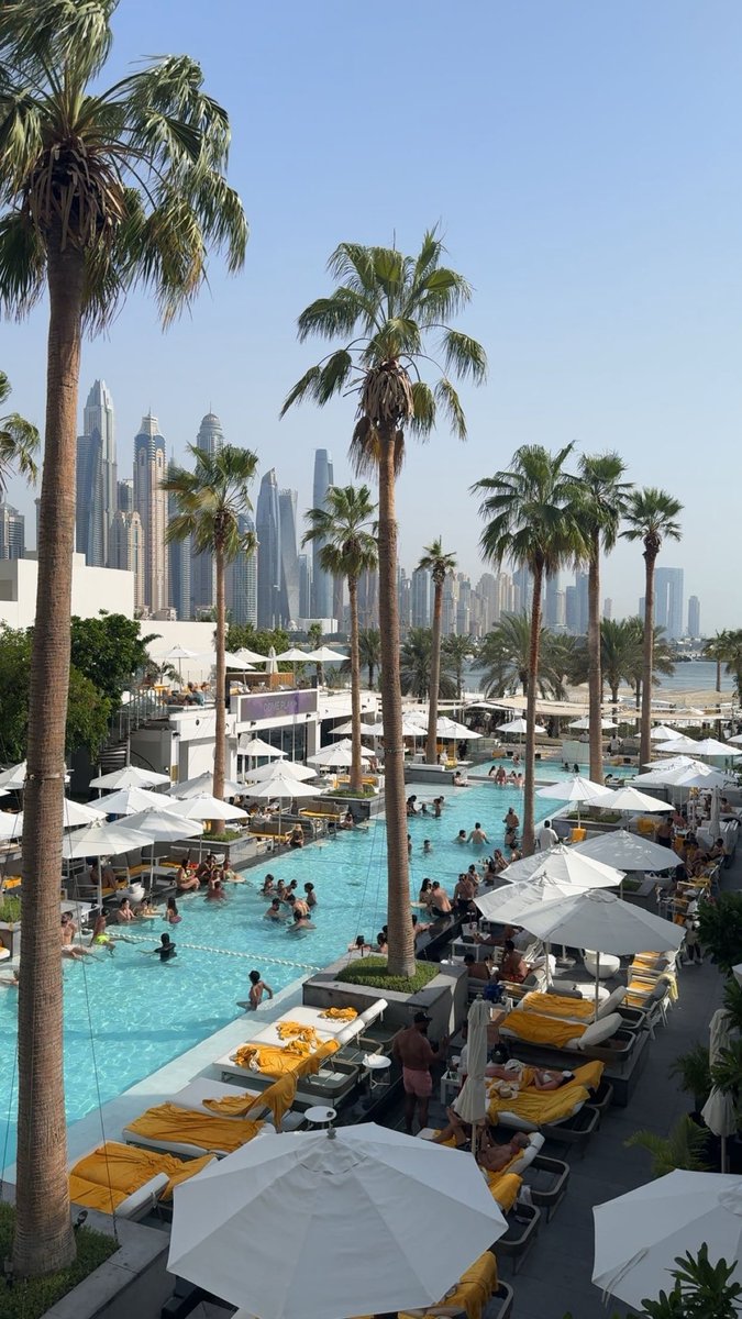 خالِد tweet media