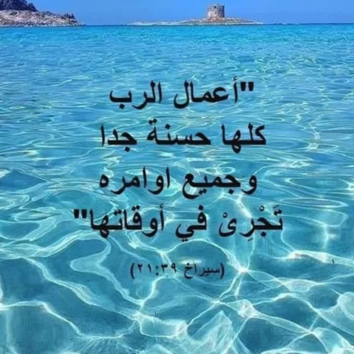 magda22710539's tweet photo. @Mo7bNageb مساء جميل محب https://t.co/veG5Z0DIeb