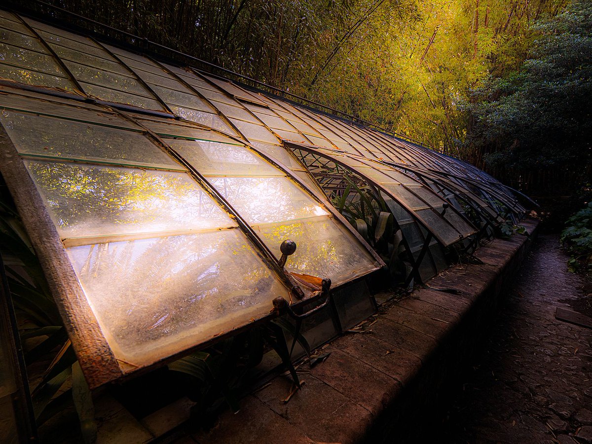 Jardín Botánico La Concepción Málaga (@jbhconcepcion) on Twitter photo Hoy seguimos con los premios del concurso de #Fotos de la categoría A, artística. Os dejamos el 2º accésit. Se llama Reposo, y su autor es Francisco Bernal Garrido. El concurso está organizado por la <a href="/AAJBHC/">Aso.AmigosConcepcion</a> junto con La Concepción, y lo patrocina Viveros Guzmán #photograph Hoy seguimos con los premios del concurso de #Fotos de la categoría A, artística. Os dejamos el 2º accésit. Se llama Reposo, y su autor es Francisco Bernal Garrido. El concurso está organizado por la <a href="/AAJBHC/">Aso.AmigosConcepcion</a> junto con La Concepción, y lo patrocina Viveros Guzmán #photograph
