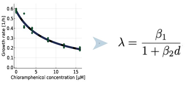 Fabrizio Angaroni tweet media
