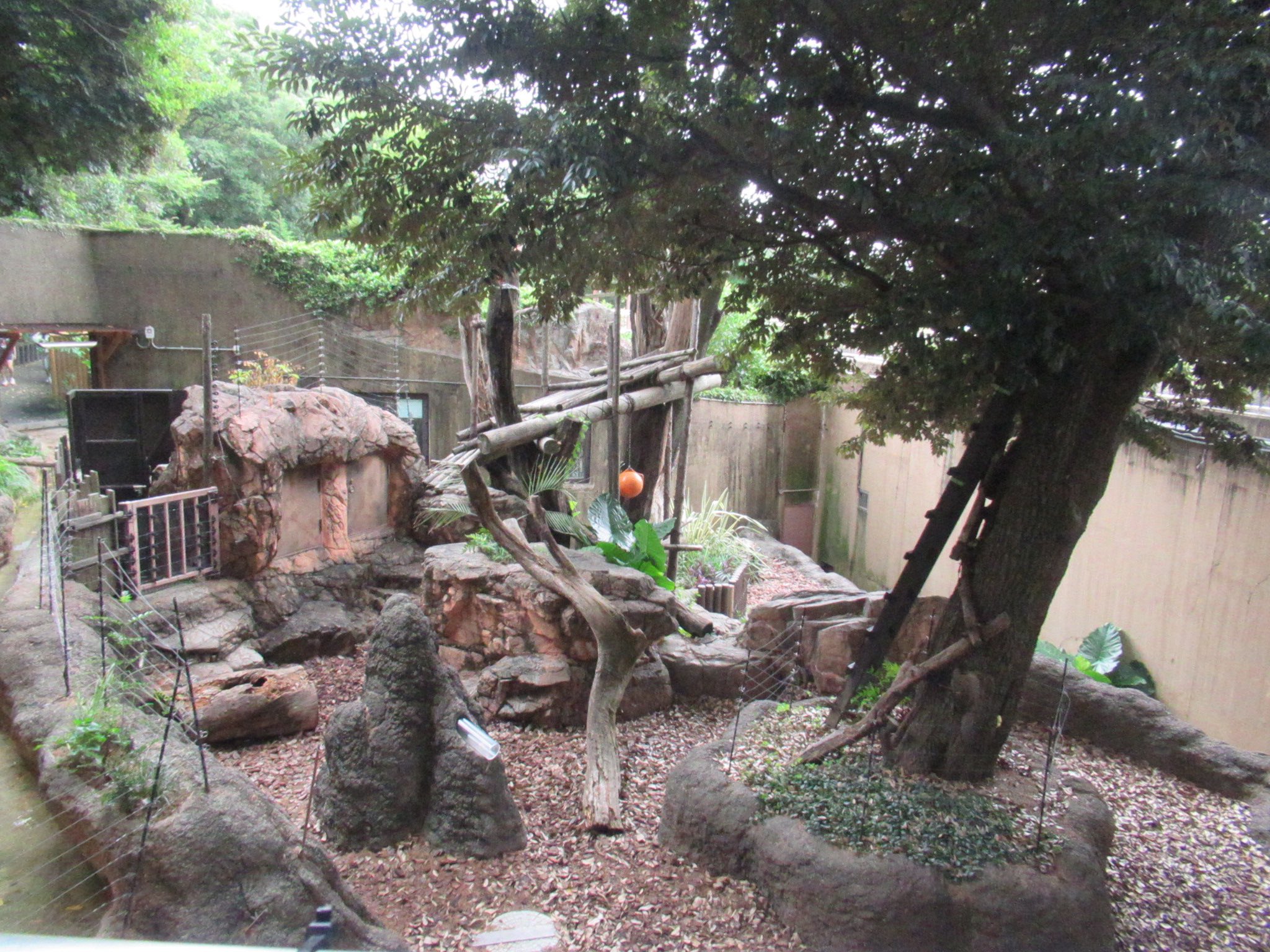 タヌタヌ様　ご相談ページ もう悩み無用！ (@mounayamimuyou) / X