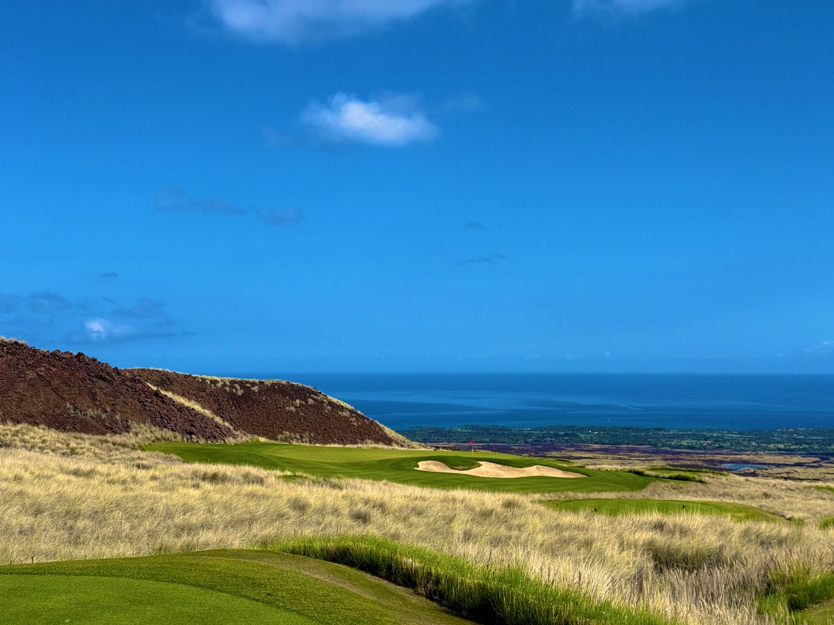 Rick Golfs tweet media