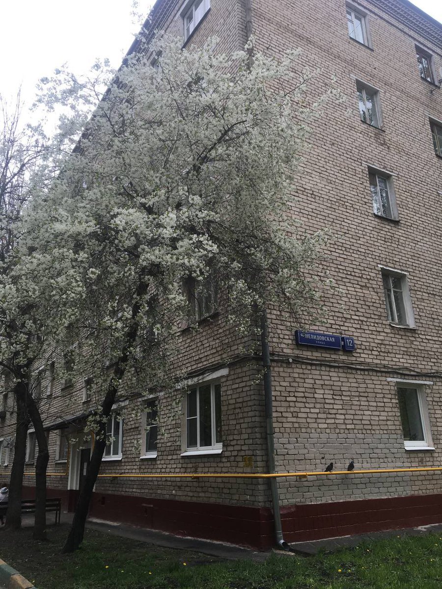 крошечный школьник tweet media