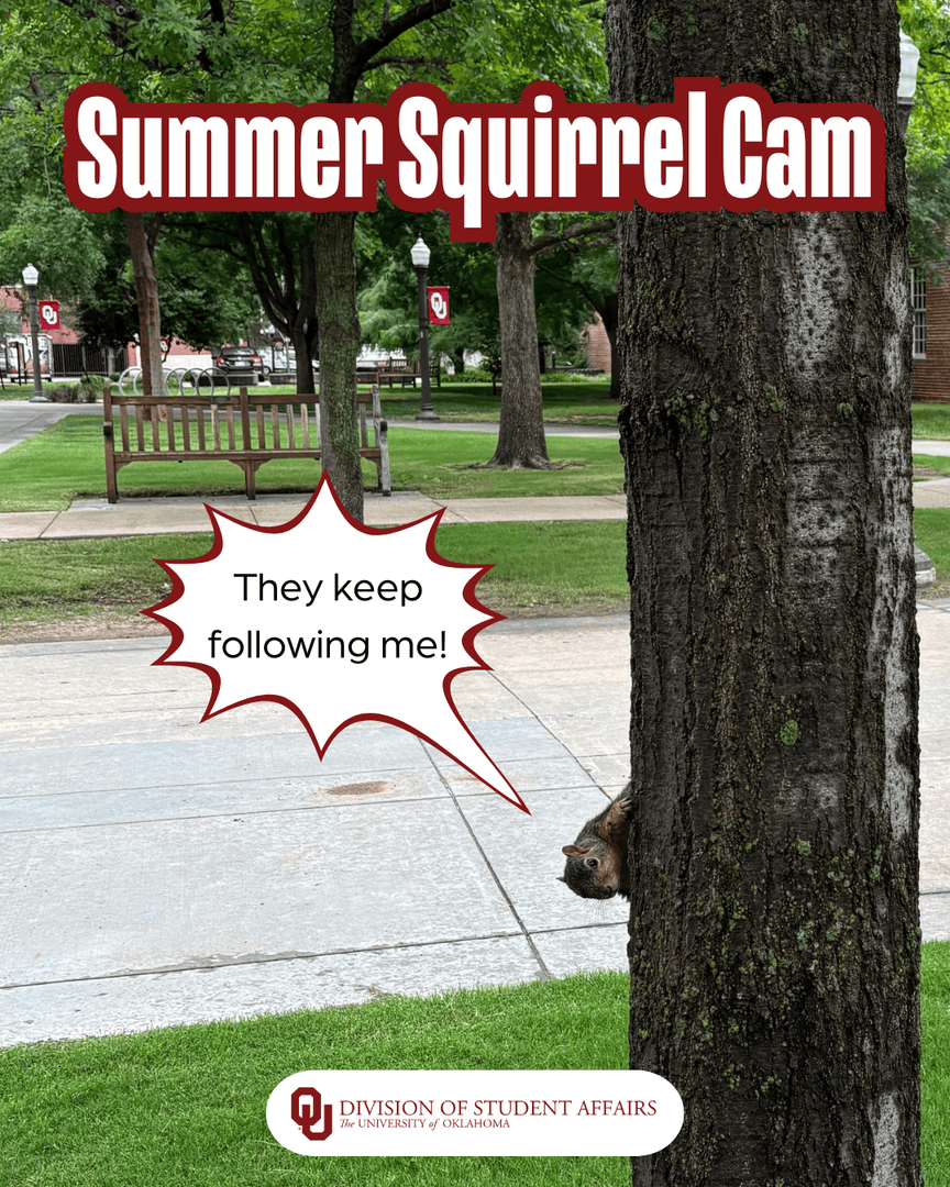POV: You’re just trying to live your squirrel life, and the Student Affairs Social Media team won’t stop trailing you. 🐿️👀
#SummerSquirrelCam #OUWildlife