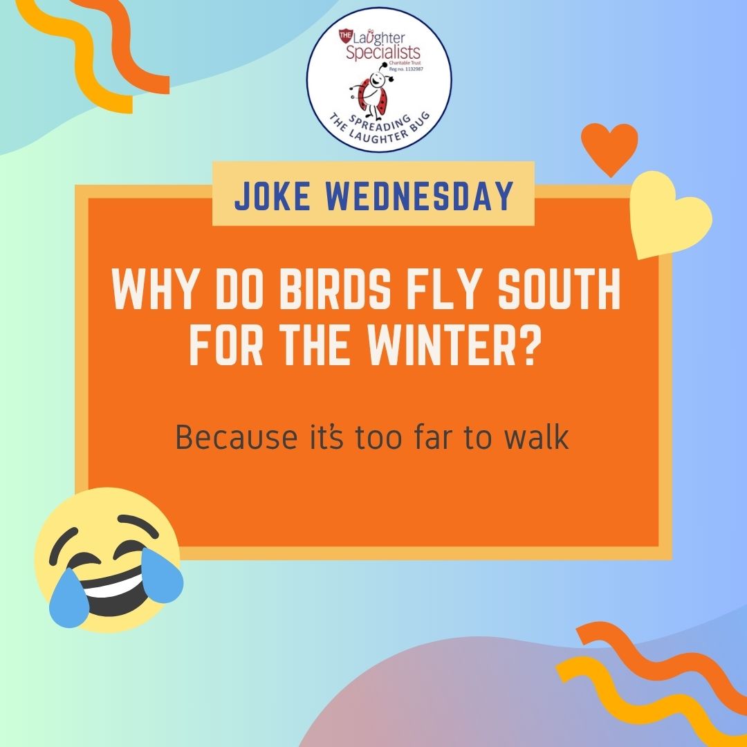 Why Do Birds Fly South for the Winter Joke