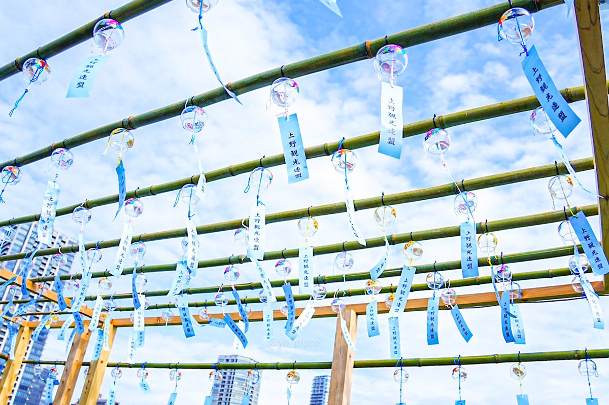 yn_place's tweet image. 明日も一日雨予報𓈒𓈒☂
そろそろ青空が恋しいな。
一昨日、一週間ぶりの不忍池
青空と風鈴の音色。
一面にひろがる蓮がすごく綺麗だった🪷
火曜日 お疲れさまです
ゆっくり休んで
明日がいい日になりますように⚘.。