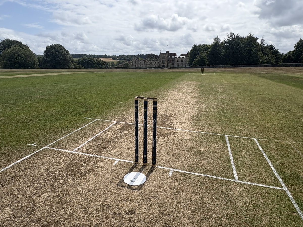 Adam Collins tweet media