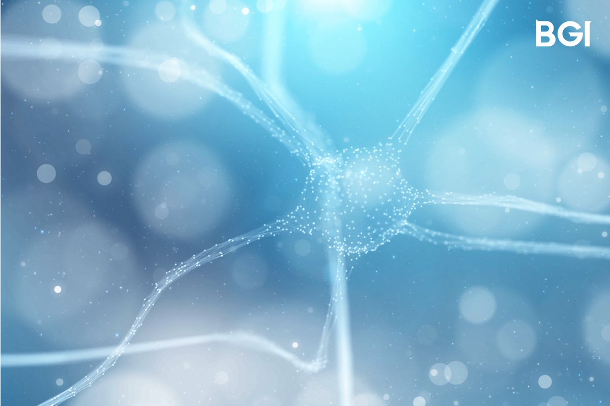 TheBgiGroup's tweet image. BGI-Research is advancing brain science through innovation and collaboration. In this interview, BGI scientists shared insights into their groundbreaking brain mapping studies featured in leading journals. More: bit.ly/4eOgRRz