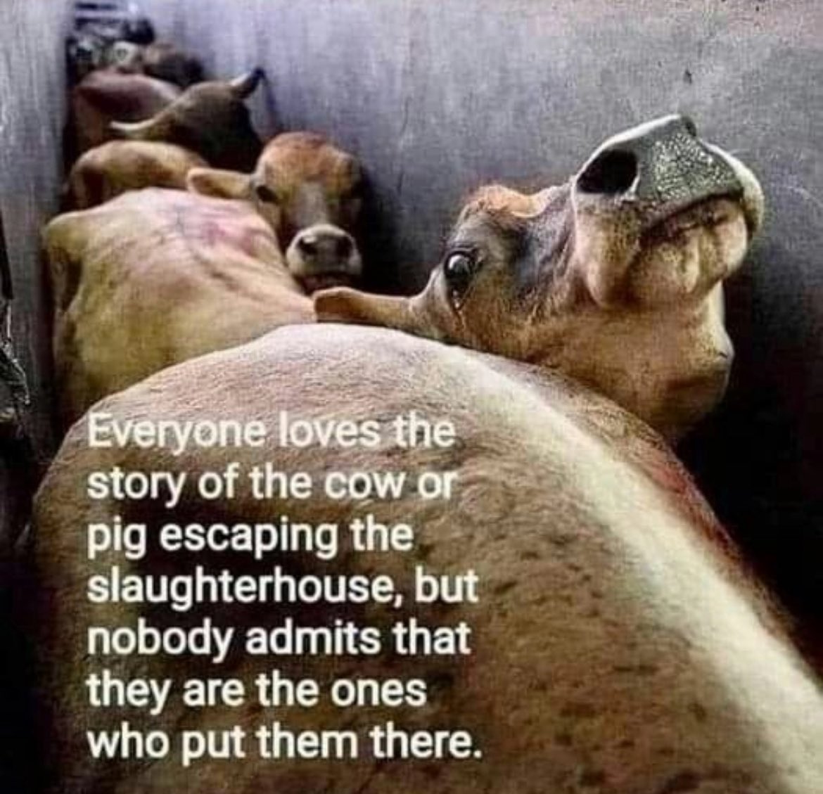 NothingIsArt (@nothingisart) on Twitter photo 