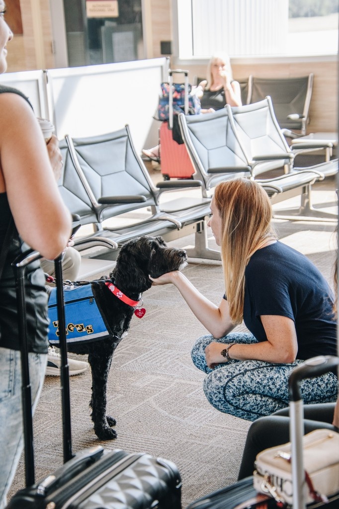 Our Runway Rover program is easily a passenger favorite!!  If you see our furry friends in the terminal, be sure to stop and say hello!