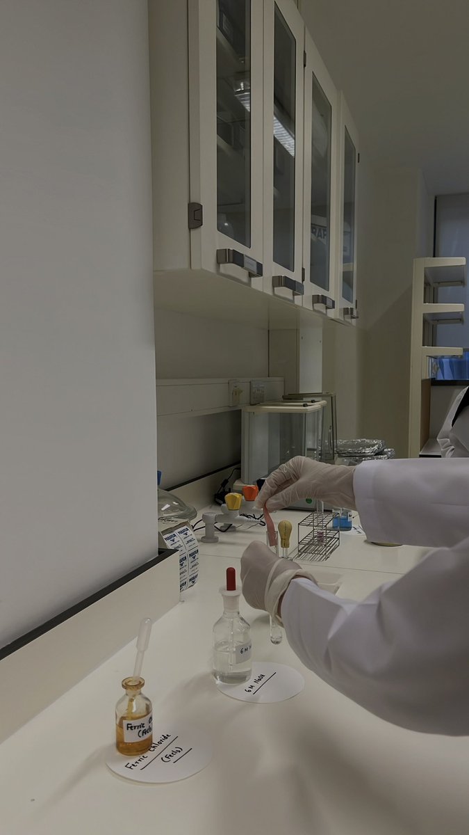 M___mg0's tweet photo. Today Lab 🧪 https://t.co/GE6sD2mA9m