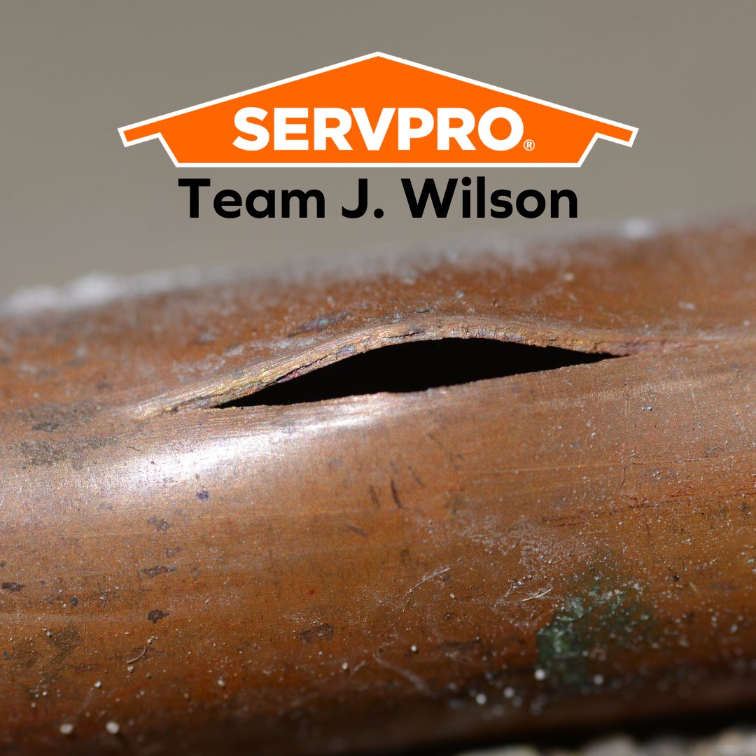 ServproEastLou's tweet image. Water damage after a pipe leak? Call SERVPRO to start the cleanup and restoration process ASAP. Fast action is key to saving your property! 🚨💧 #SERVPRO #HereToHelp #PipeLeak