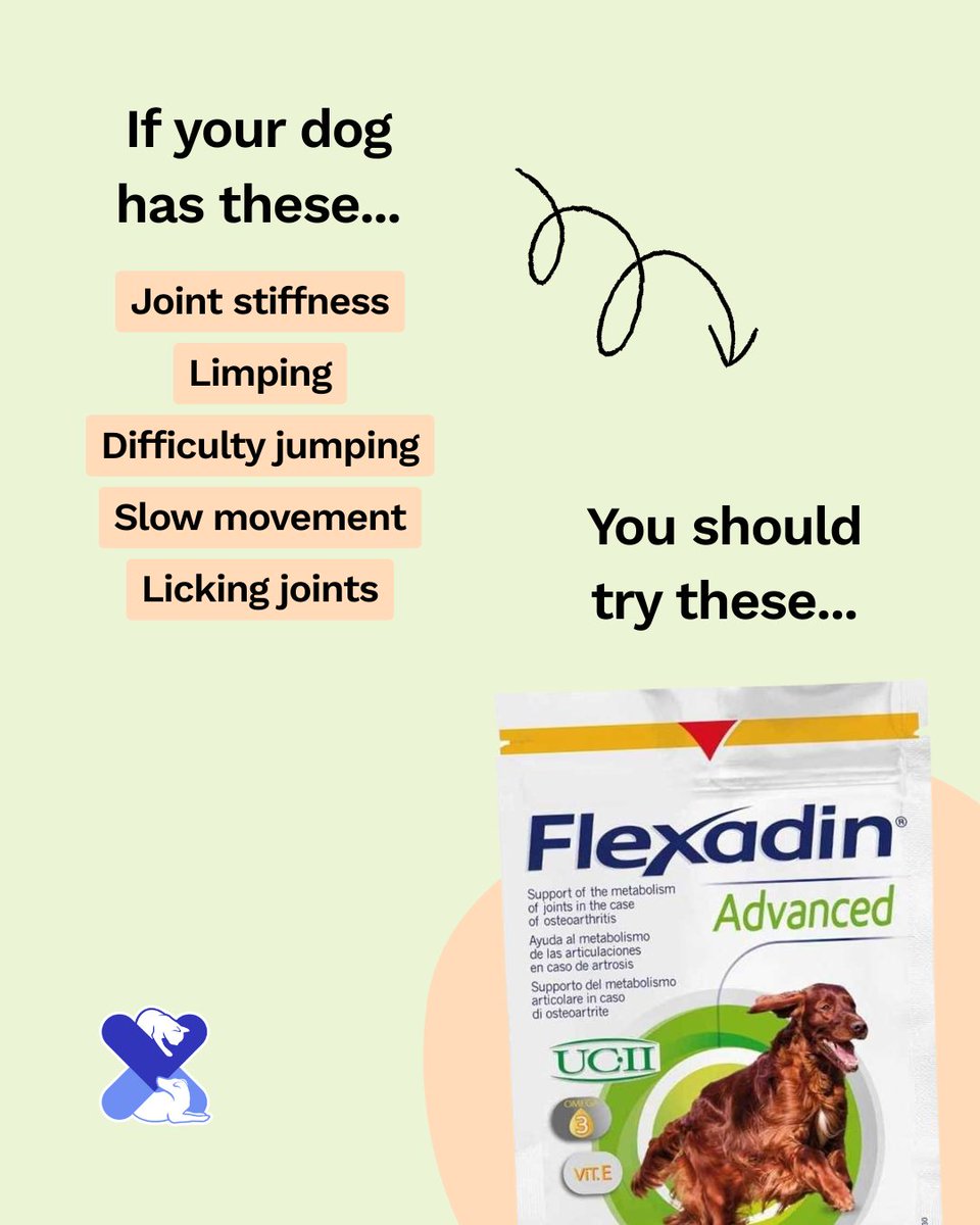Limping? Stiff joints? 🐶

Flexadin Advanced supports your dog’s mobility with UC-II® collagen &amp; Vit E
Vet-recommended &amp; easy to give 🦴

#DogJointCare #UKPetDrugs #Flexadin #DogHealth #ArthritisInDogs