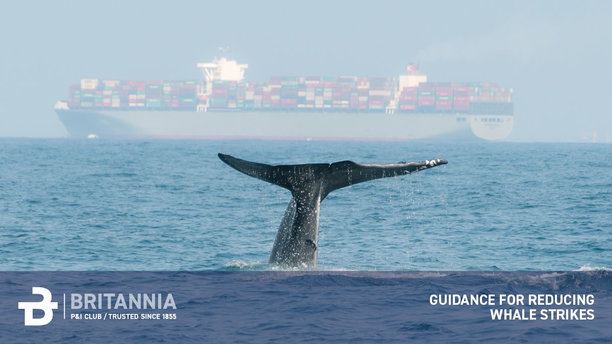 britanniapandi's tweet image. Reflecting back on World Oceans Day last month, it's important to discuss how shipping can better protect a marine species like whales 🐳

Read our guidance for reducing the number of whale strikes below 👇
ow.ly/vsQQ50Wp41G

#WorldOceansDay #Whales #LossPrevention