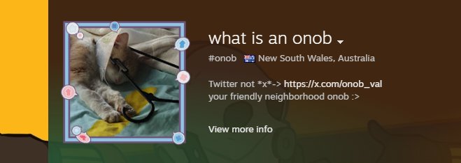 Yo real shit uh this isn't me 

steamcommunity.com/profiles/76561…
