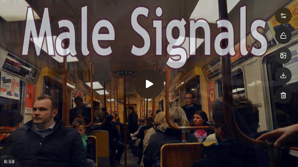 trgolden's tweet image. Do men use signals? This is a quick and light look into a few of the signals that men use in navigating the hierarchy. f.mtr.cool/ojljwmhmqc
#gynocentrism #malehierarchy #misandry #understandingmen