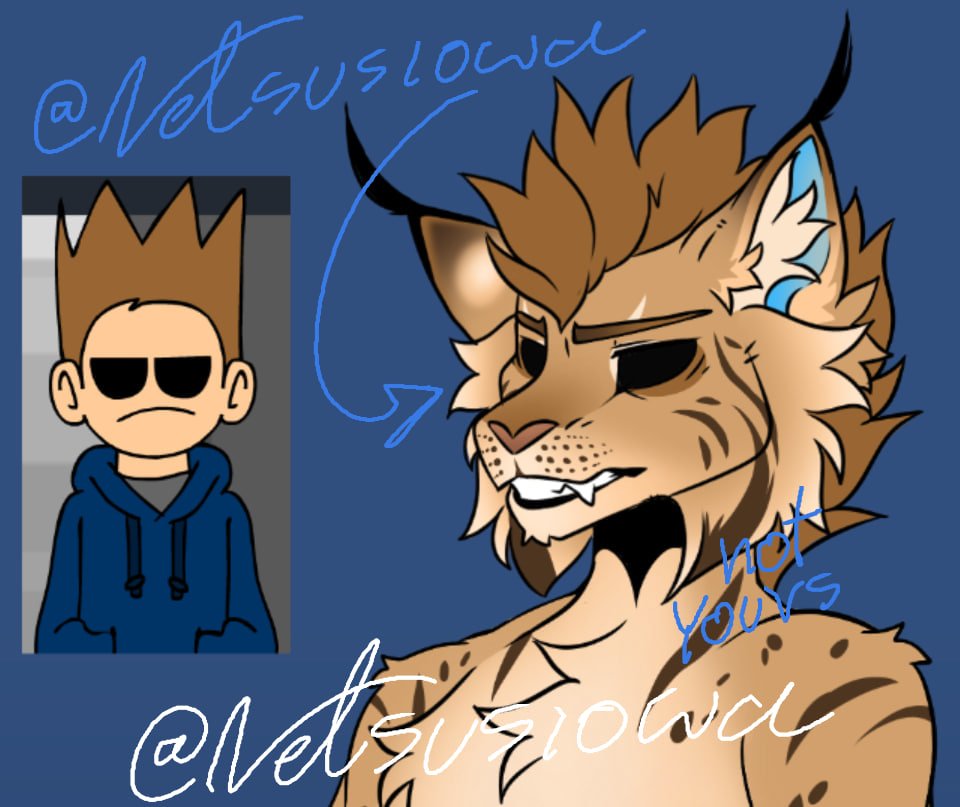 LYNX TOM 🐱💙💙💙
#eddsworld #furry #furryarwork