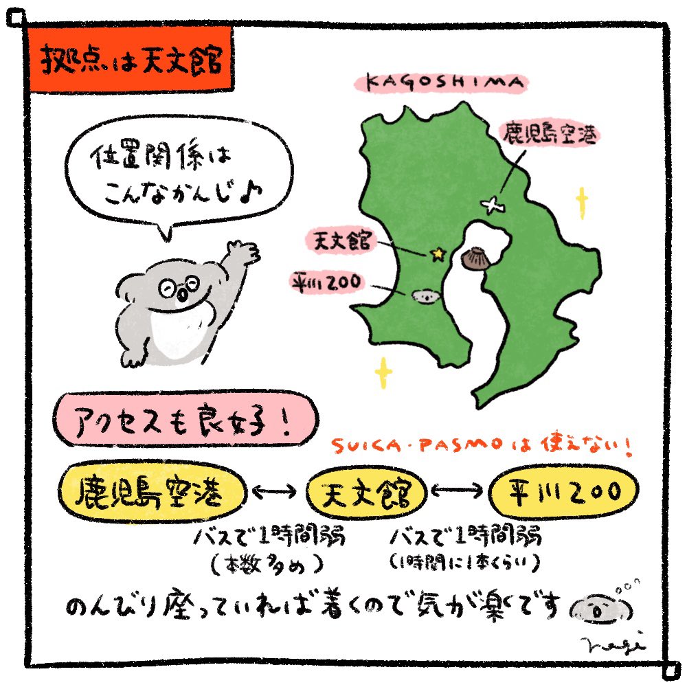 鹿児島旅行の記録（1/3）
#コアラ　#平川動物公園　#鹿児島　#鹿児島旅行　#イラスト