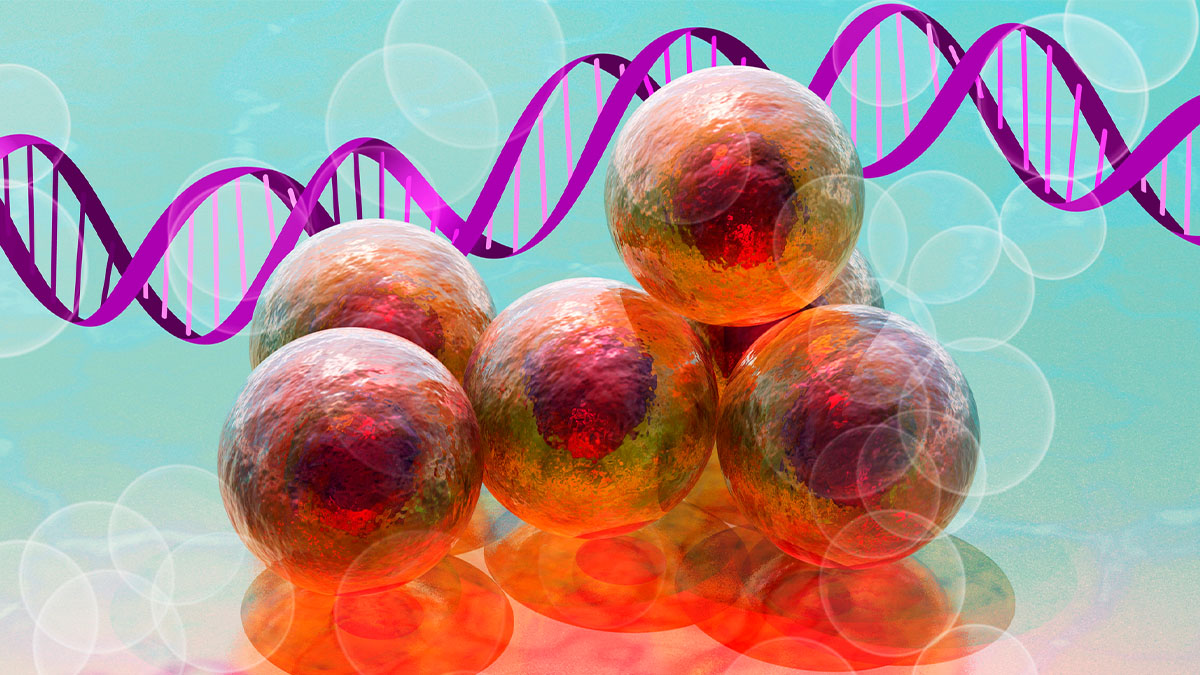 MedCellPress's tweet image. Looking forward to hearing from @Thomas_Rando @UCLAstemcell, Gordana-Vunjak-Novakovic @GVNlab @Columbia & Juan Carlos Izpisua Belmonte @altos_labs in our session “Aging and rejuvenation” @CellSymposia #CSStemCells2025. Abstracts due: July 18!
hubs.li/Q03xf8lp0