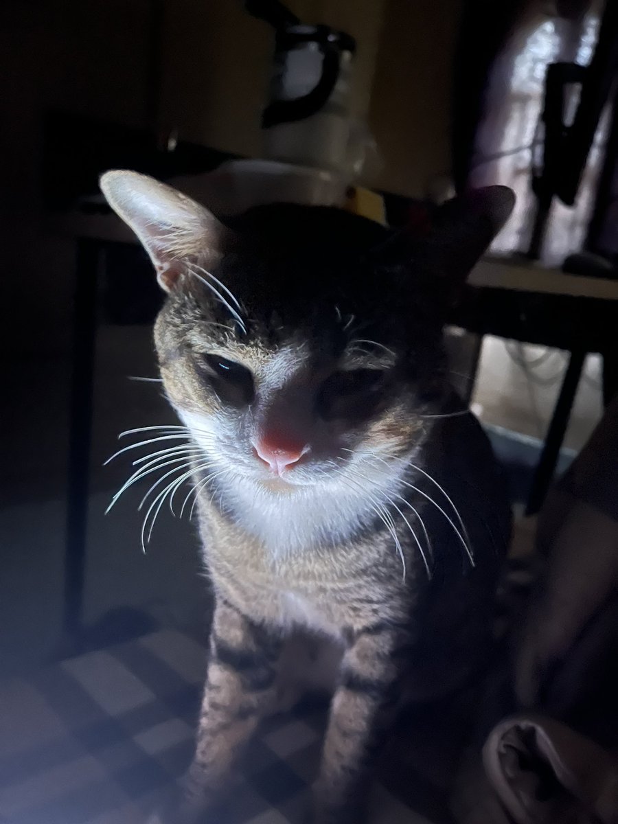 ¡мααҝ¡м tweet media