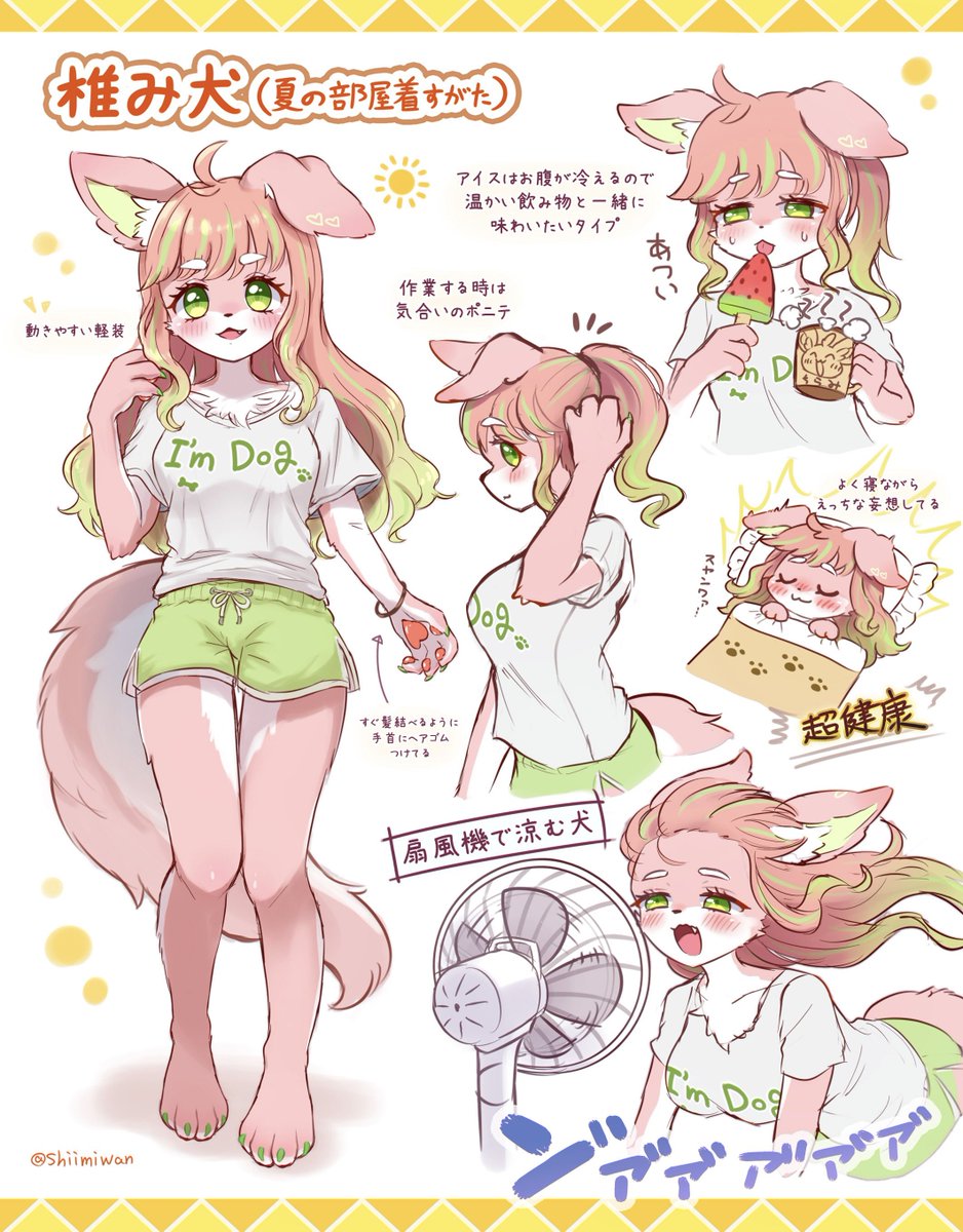 夏の部屋着すがた☀️  #着せ替え椎み犬