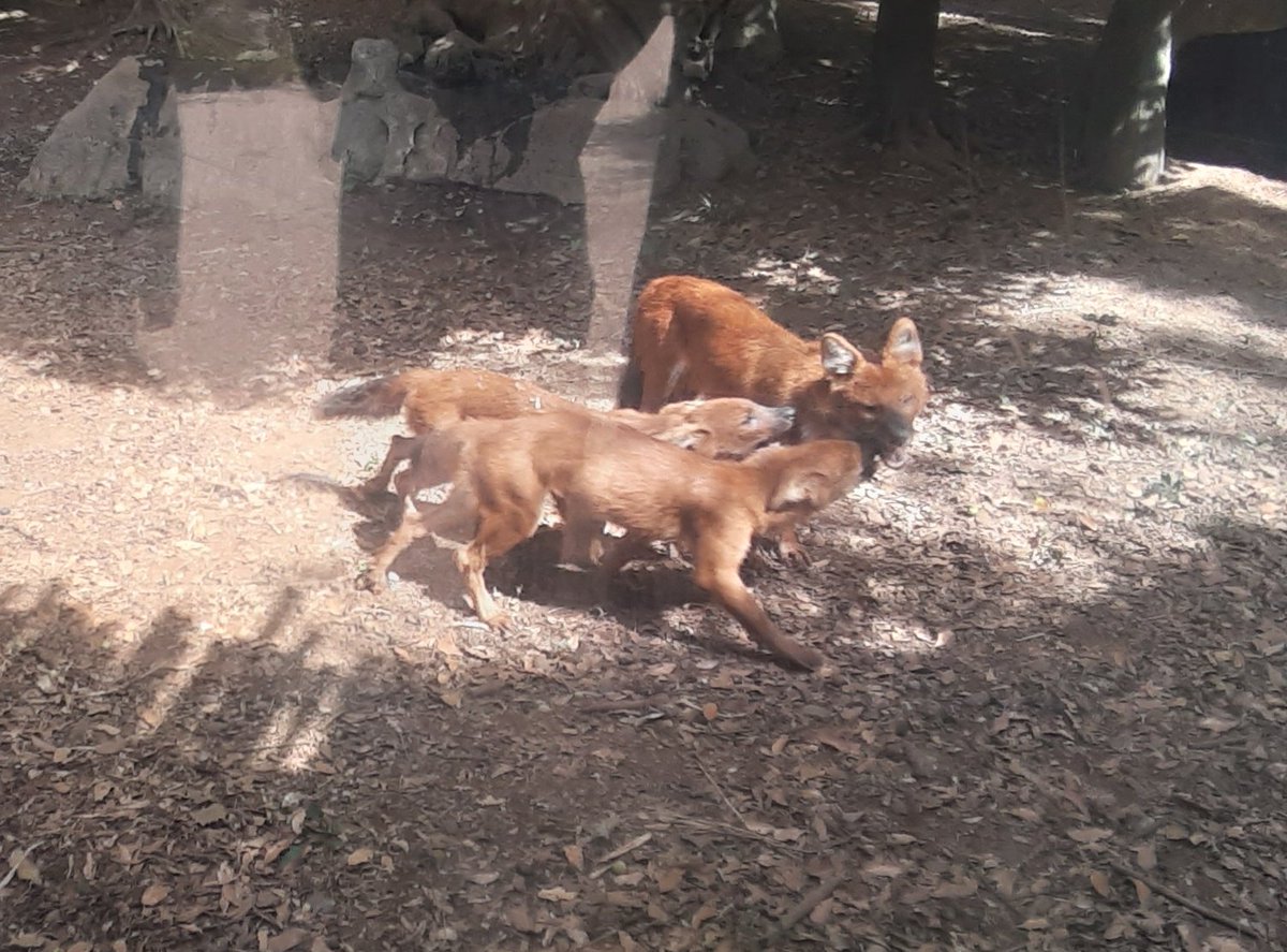 いつもありがとう… 